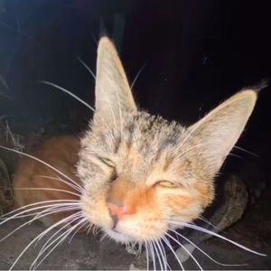 Meet your Posher, Jai'shaundria